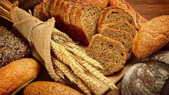 gluten e doenças - sem glúten sem lactose
